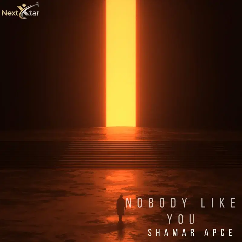 Nobody Like You