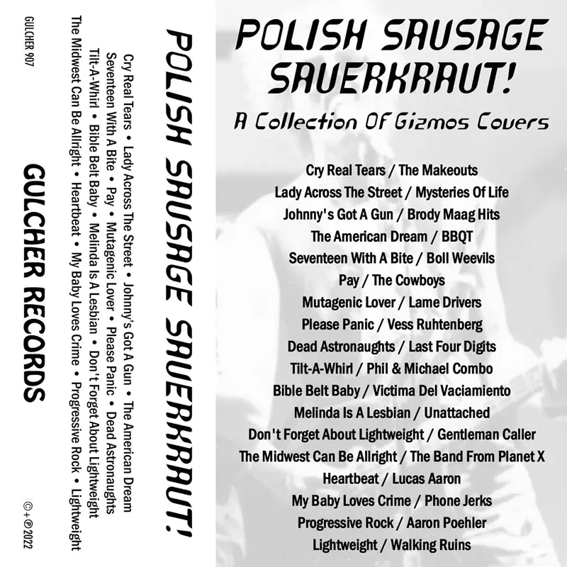 Polish Sausage Sauerkraut! - a Collection of Gizmos Covers