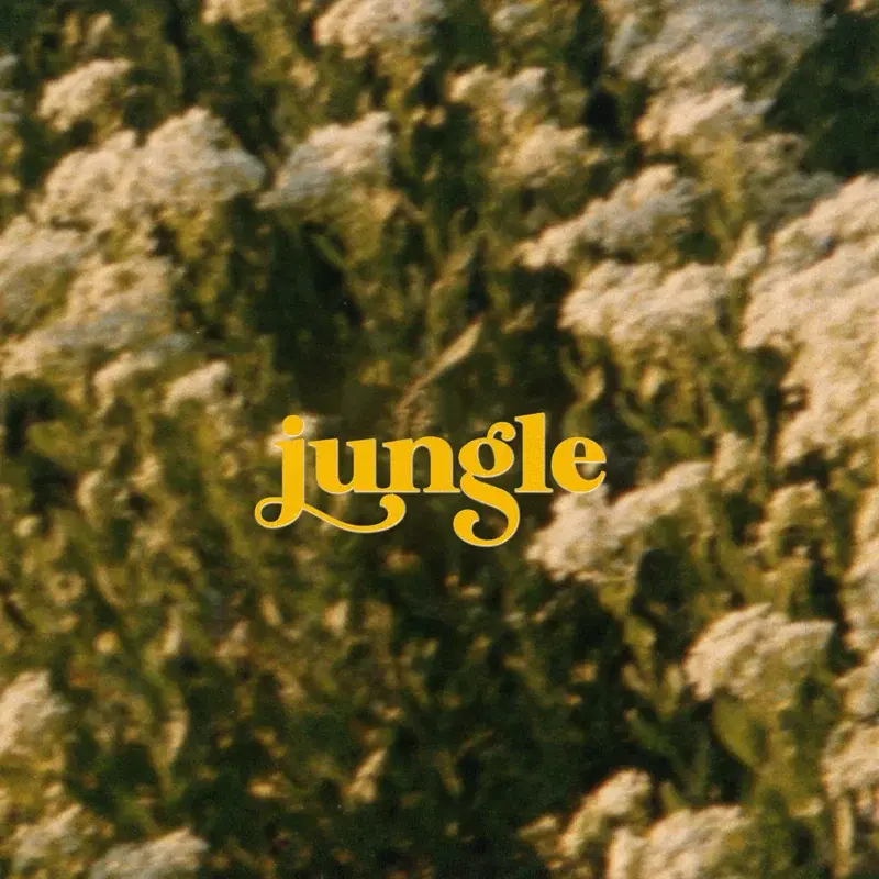 Jungle