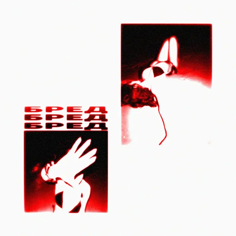 БРЕД