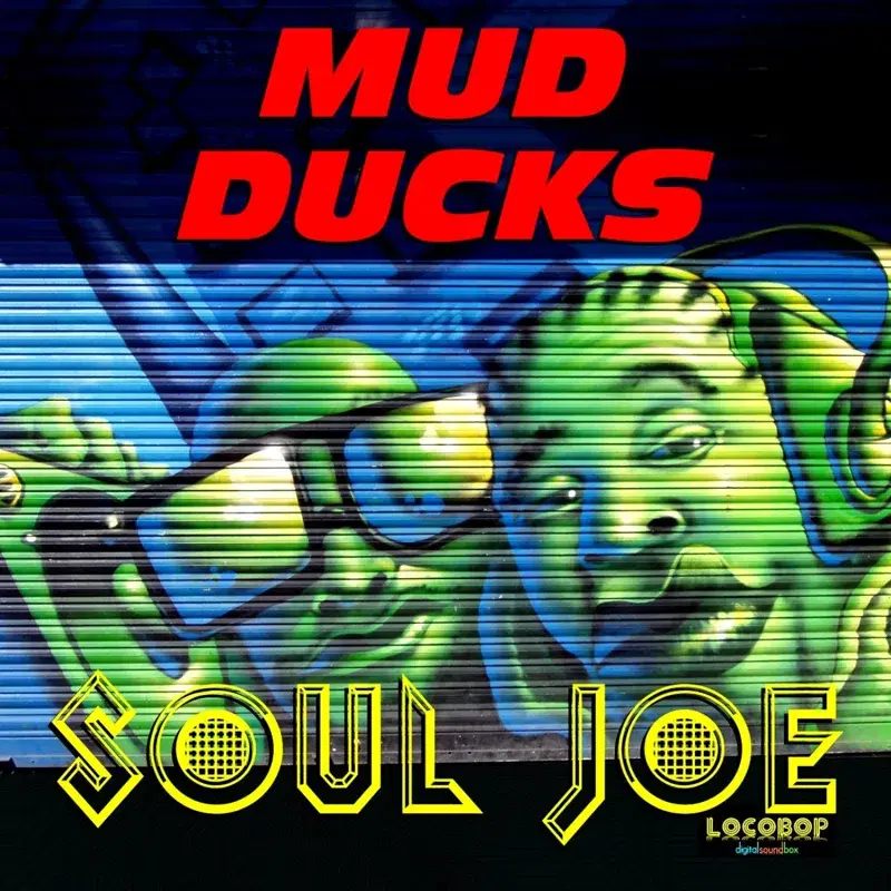 Mud Ducks