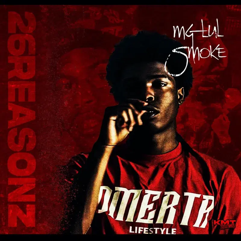 26reasonz