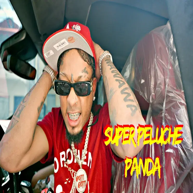 Super Peluche Panda