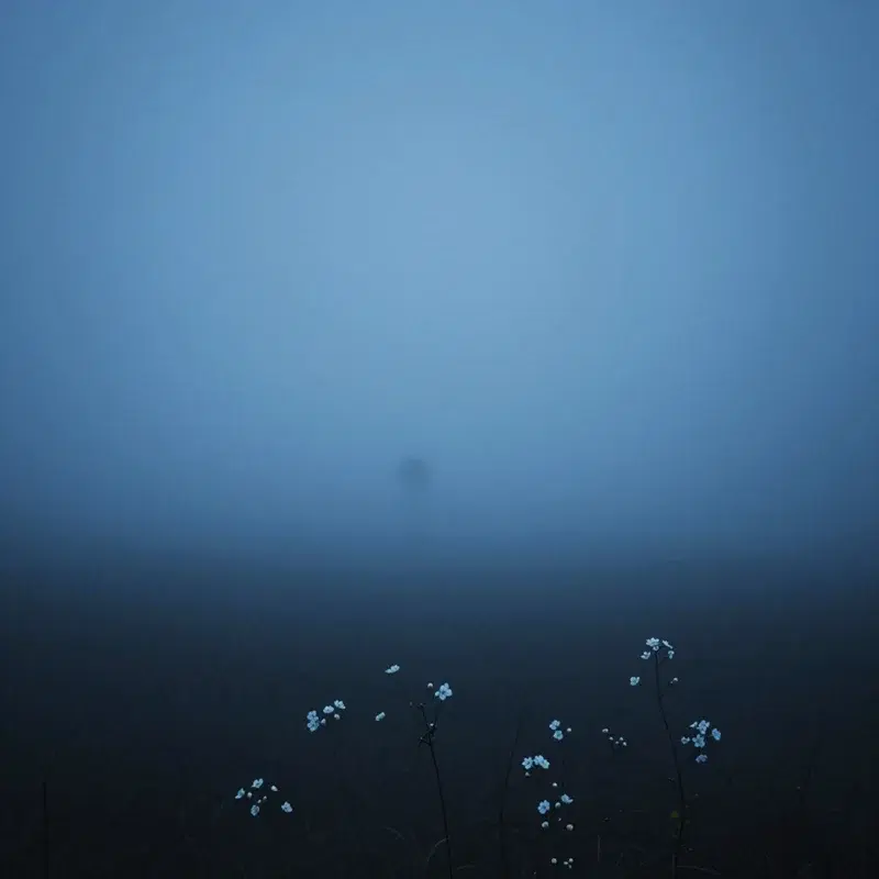Glimmer
