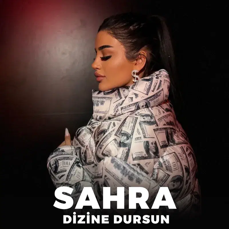Dizine Dursun