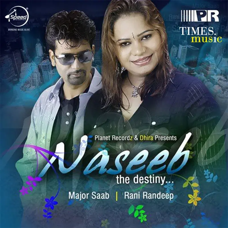 Naseeb the Destiny