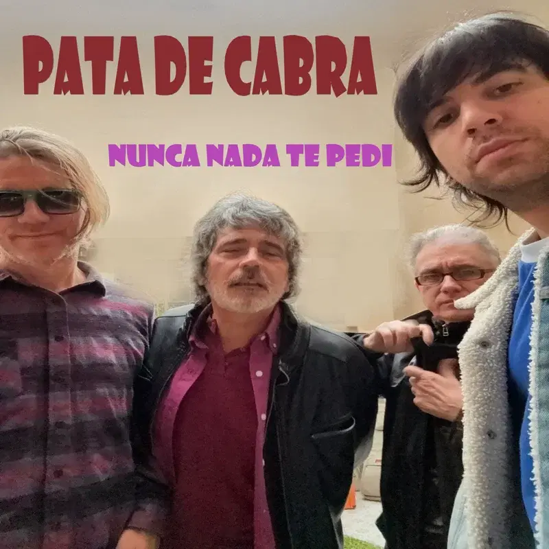 Nunca nada te pedí