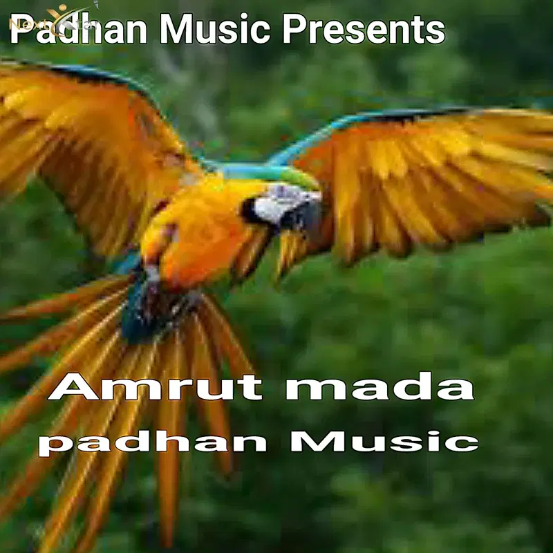 Amrut Mada