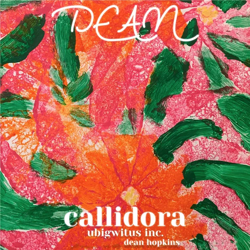 Callidora