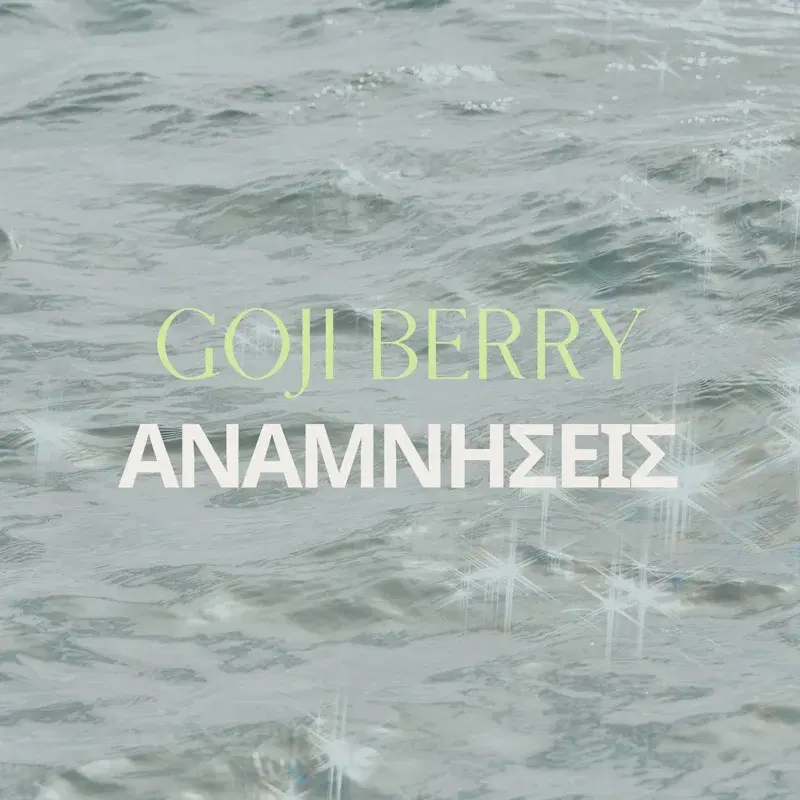 Anamniseis