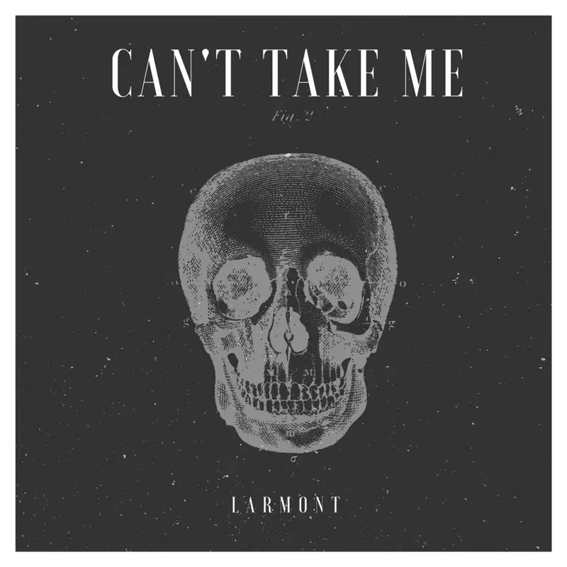 Can't Take Me