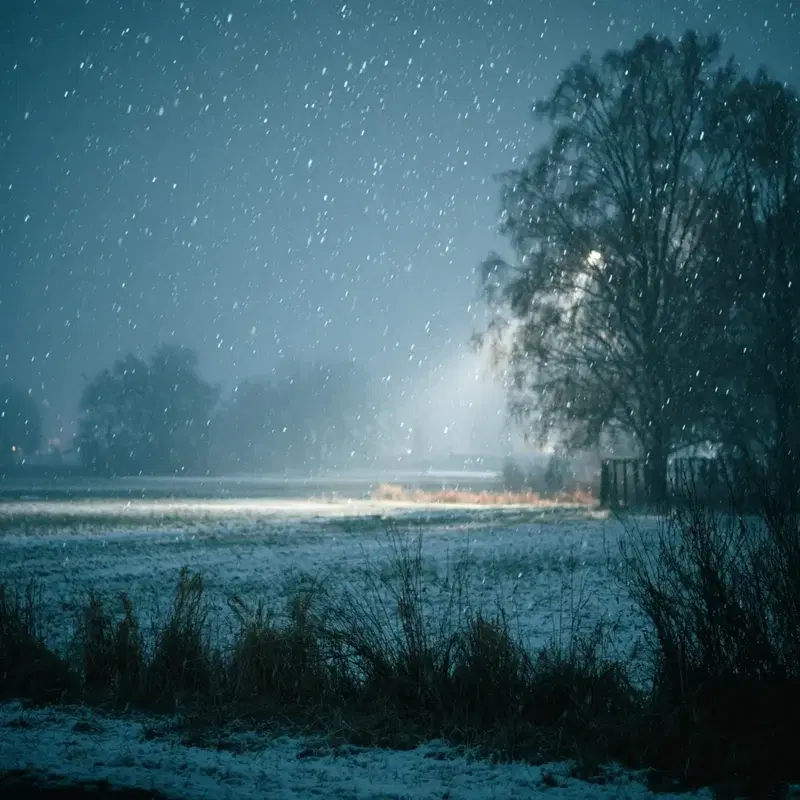 winterscape