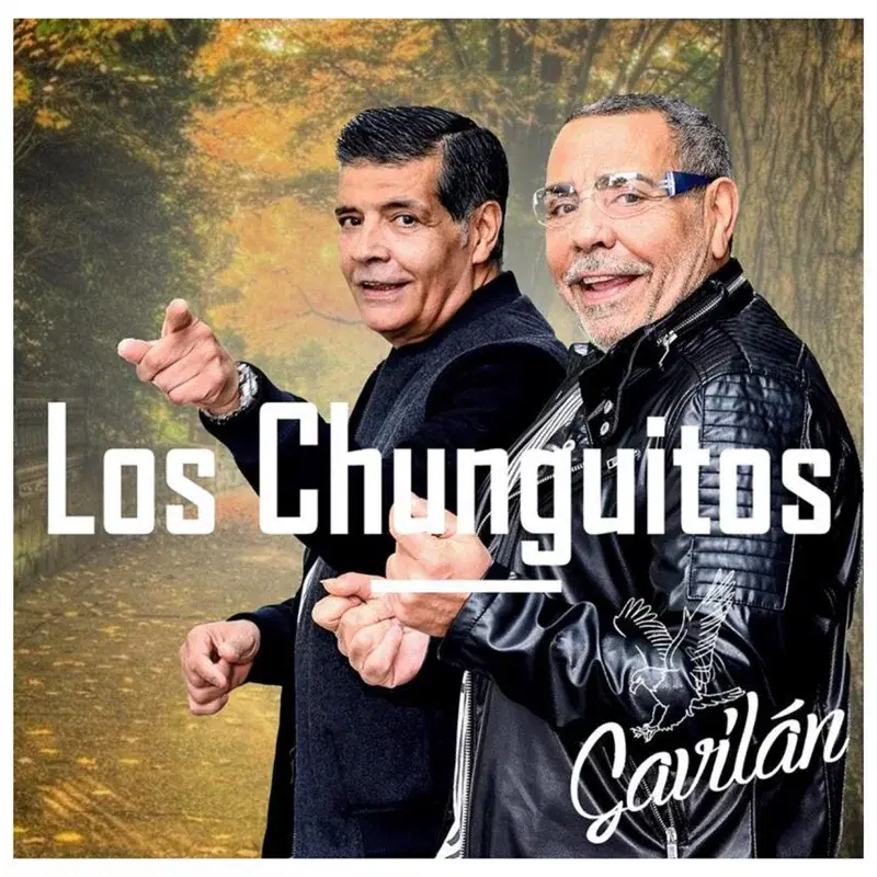 Gavilán