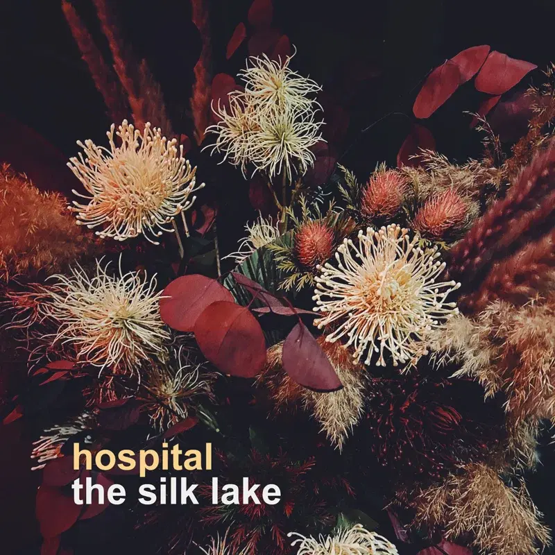 The Silk Lake