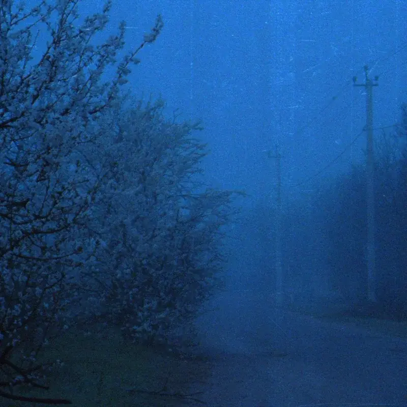 dawning haze