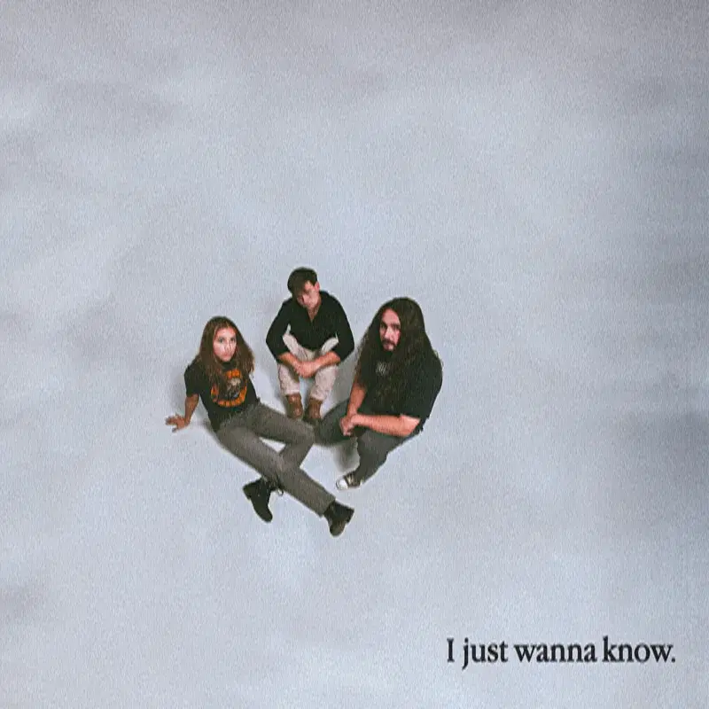 I Just Wanna Know