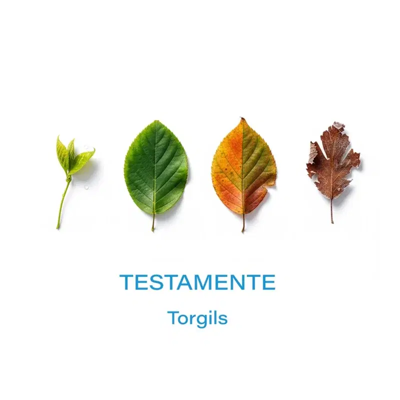 TESTAMENTE