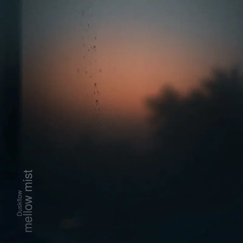 mellow mist