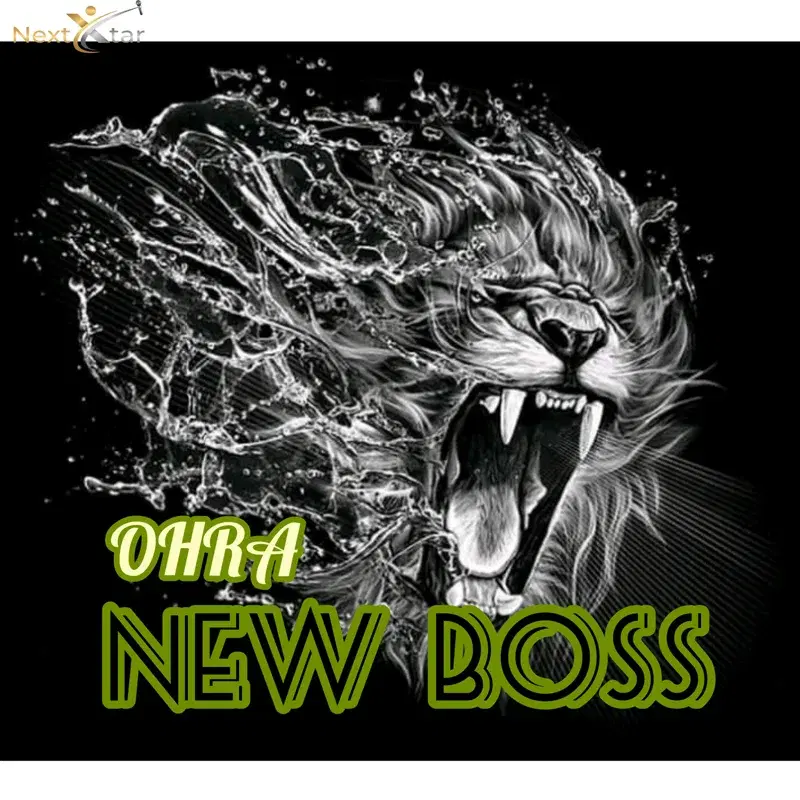 New Boss
