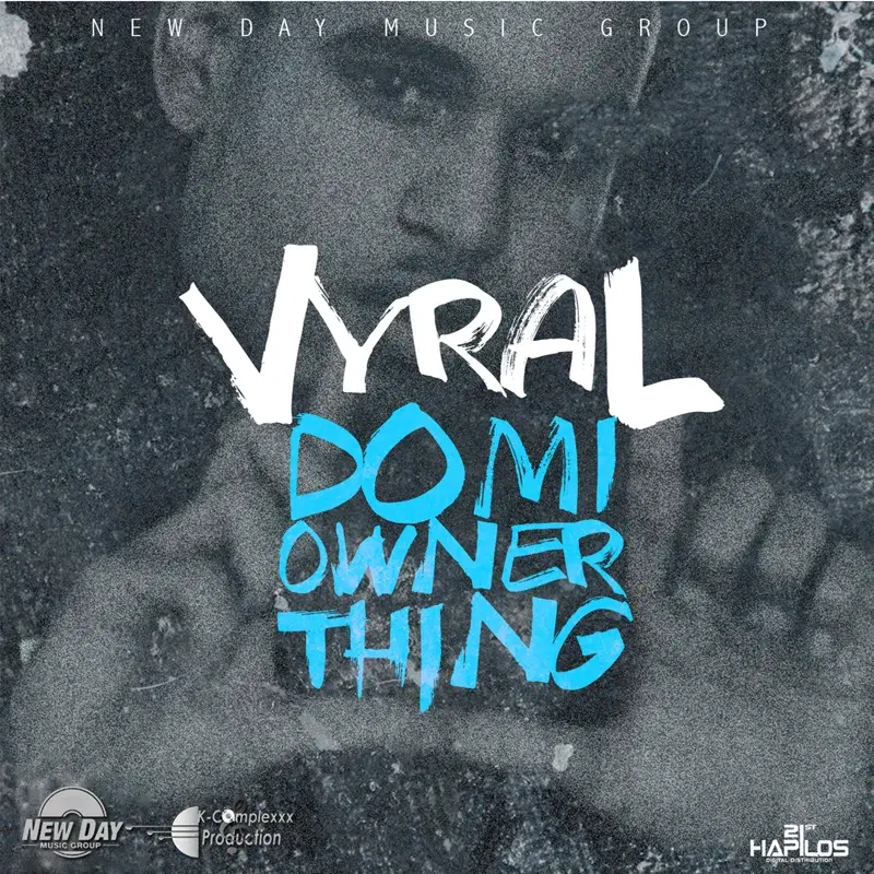 Do Mi Owner Thing - Single