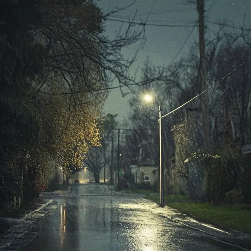 night vibe
