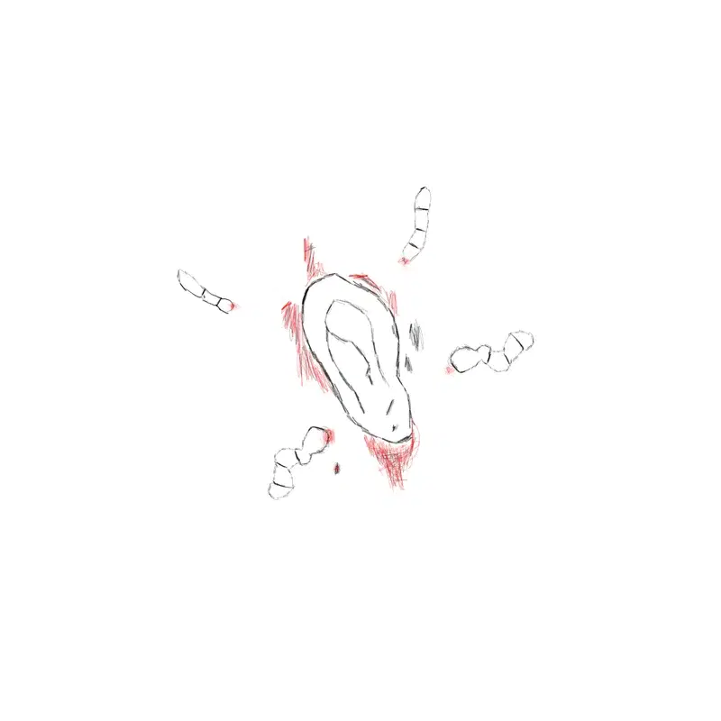 Rot