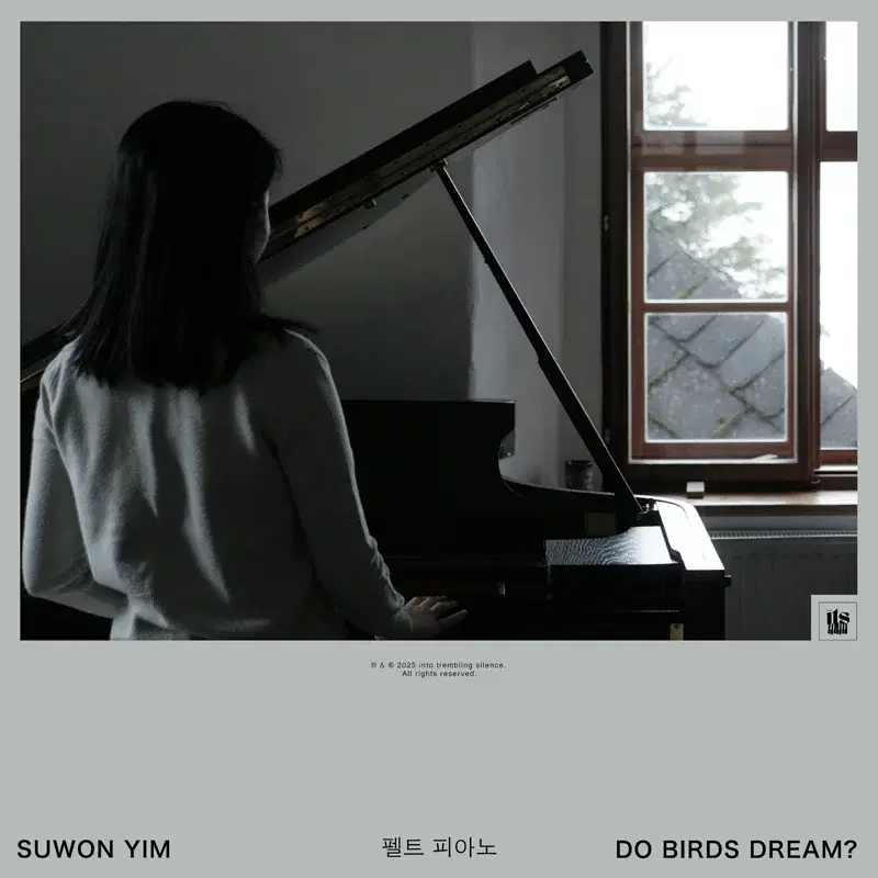 Do Birds Dream?