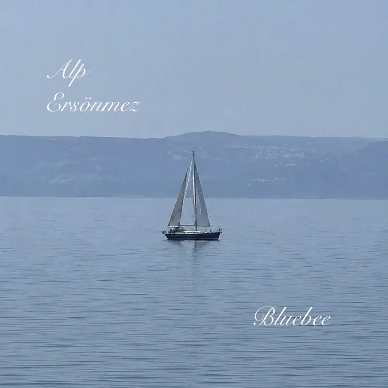 Bluebee