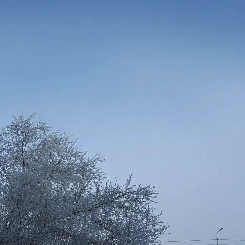 endless winter