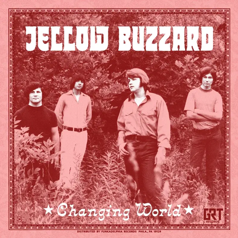 Jellow Buzzard