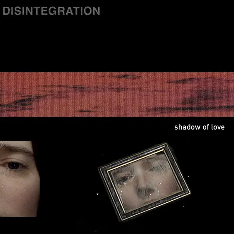 Shadow of Love