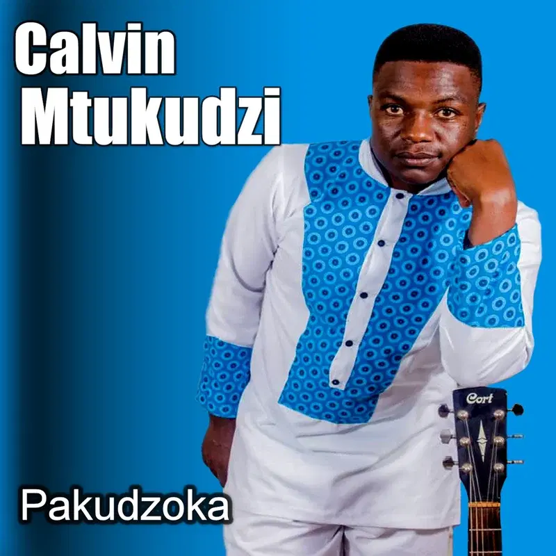 Pakudzoka