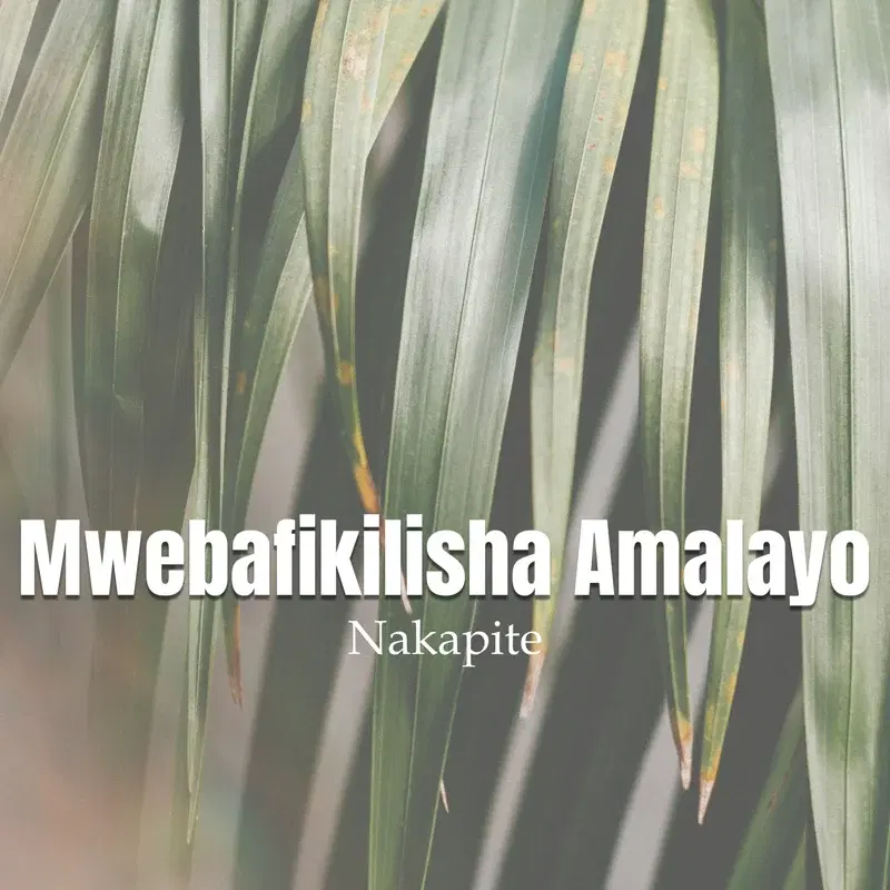 Mwebafikilisha Amalayo