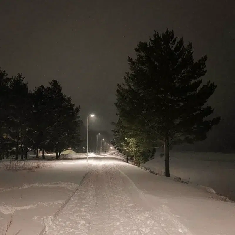 falling snow