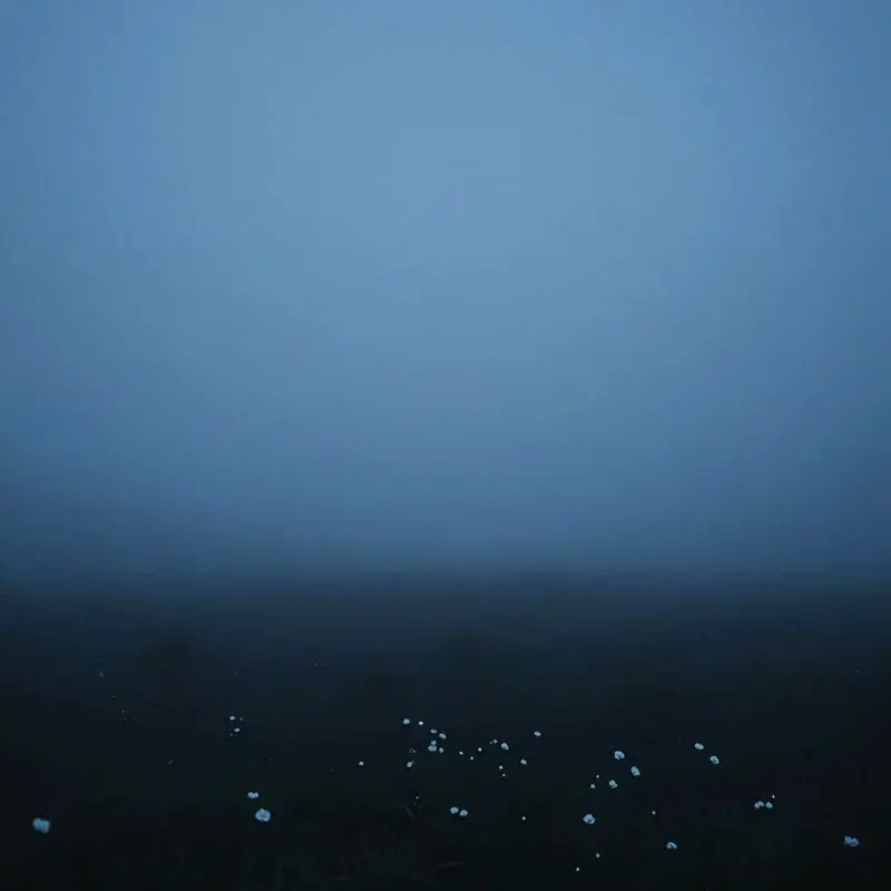 Deep Fog