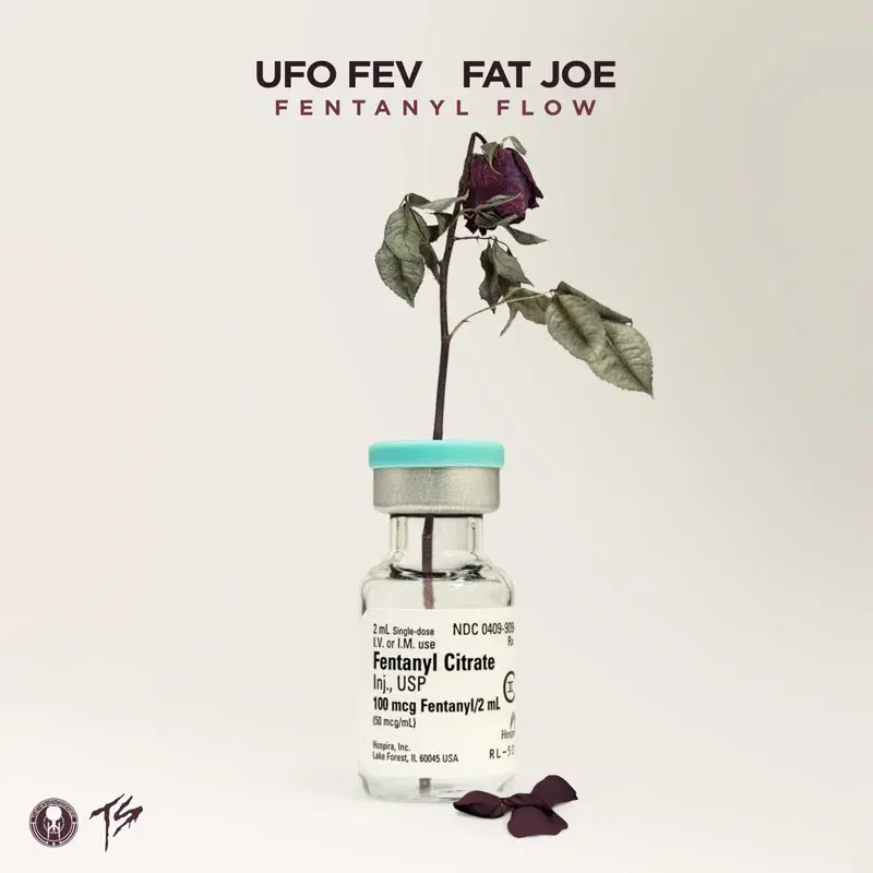 Fentanyl Flow (feat. Fat Joe) [Radio Edit]