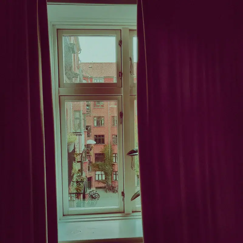 Window