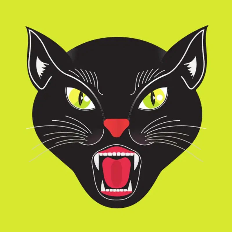 Black Cat, Best You Can Get!