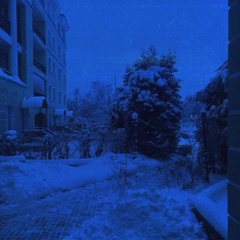 frozen in time