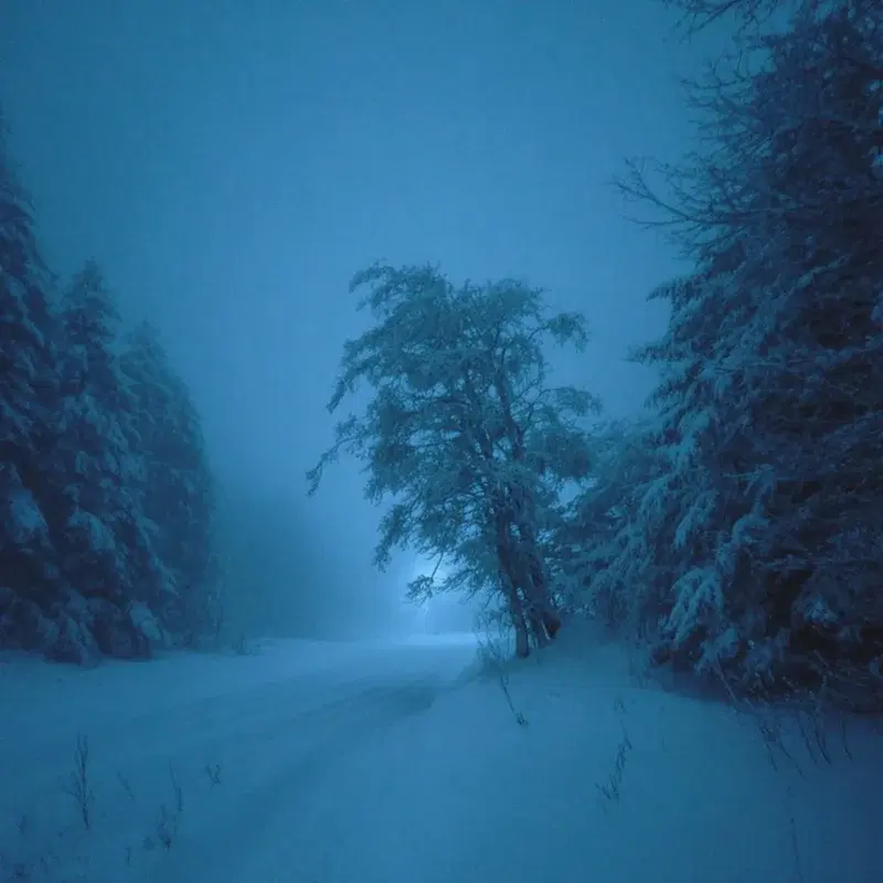 snow veil