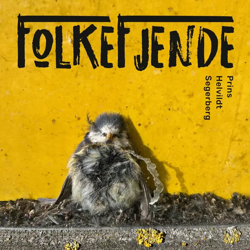 Folkefjende
