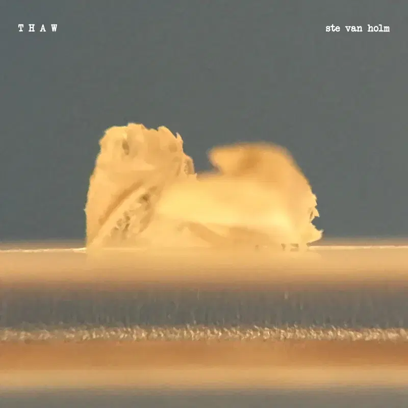 Thaw