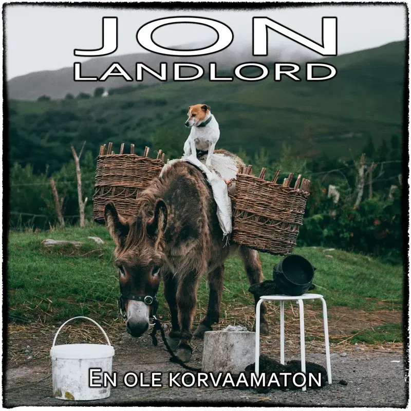 En ole korvaamaton