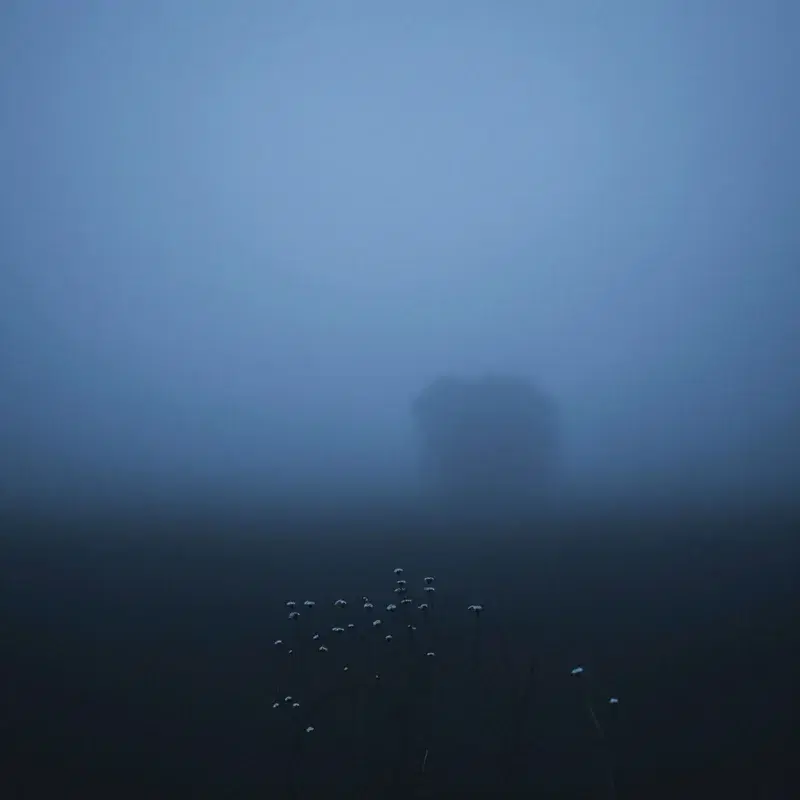 Still Water