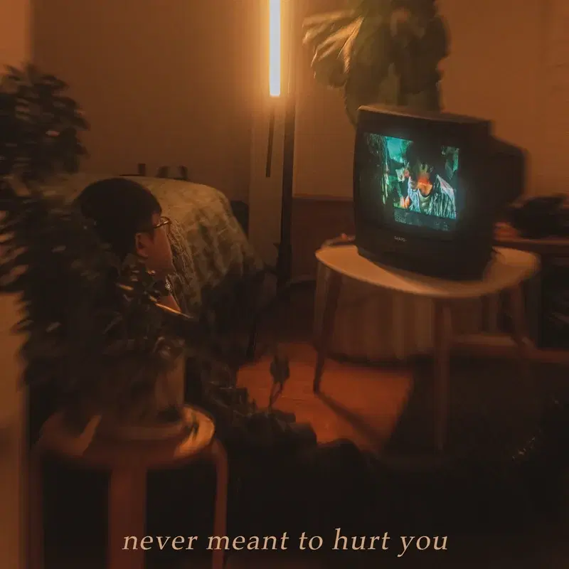 never meant to hurt you