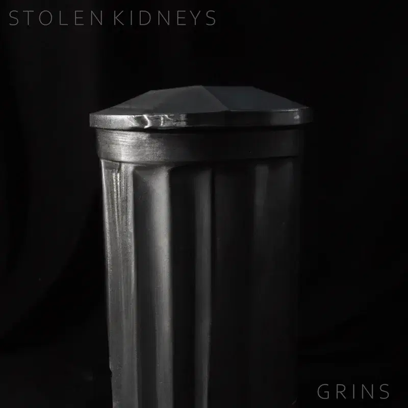 Stolen Kidneys/Grins