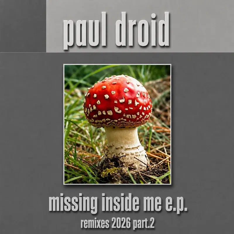Missing Inside Me