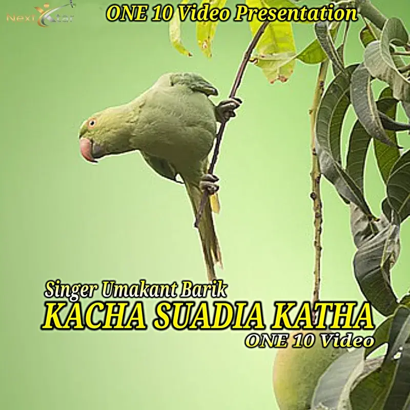 Kacha Suadia Katha