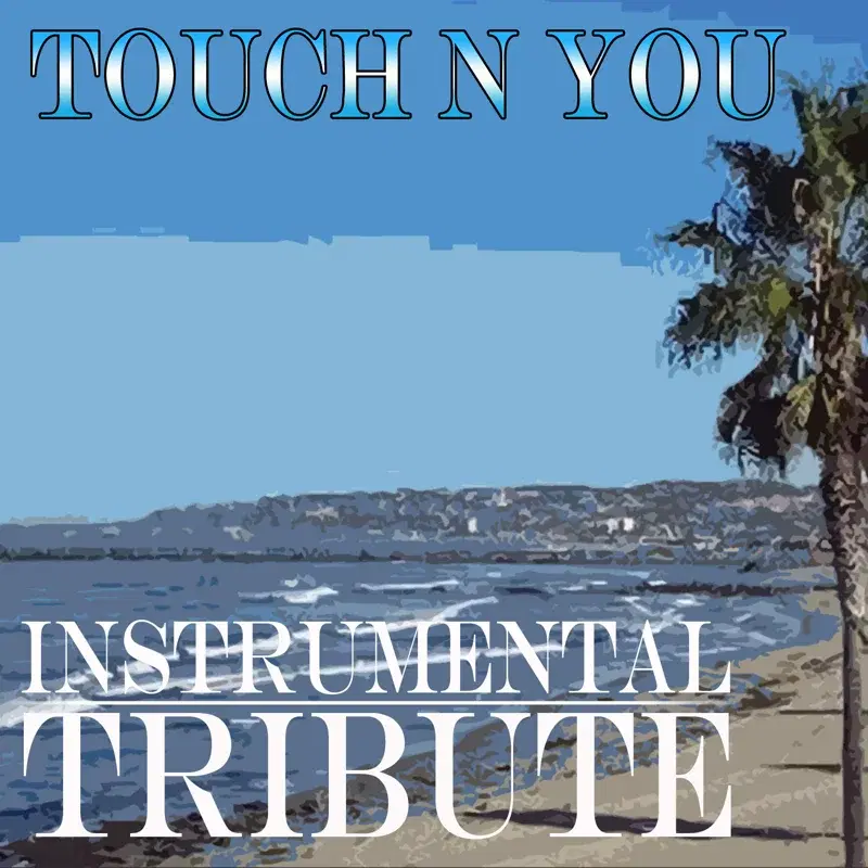 Touch'N You (Rick Ross feat. Usher Instrumental Tribute)