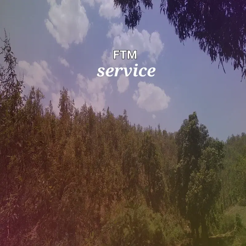 Service